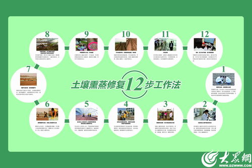 濰坊模式顯成效 全國首個生姜土壤熏蒸服務規范出爐，信息技術賦能農業新篇章